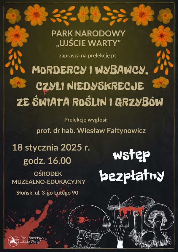 Wieczorne spotkanie plakat