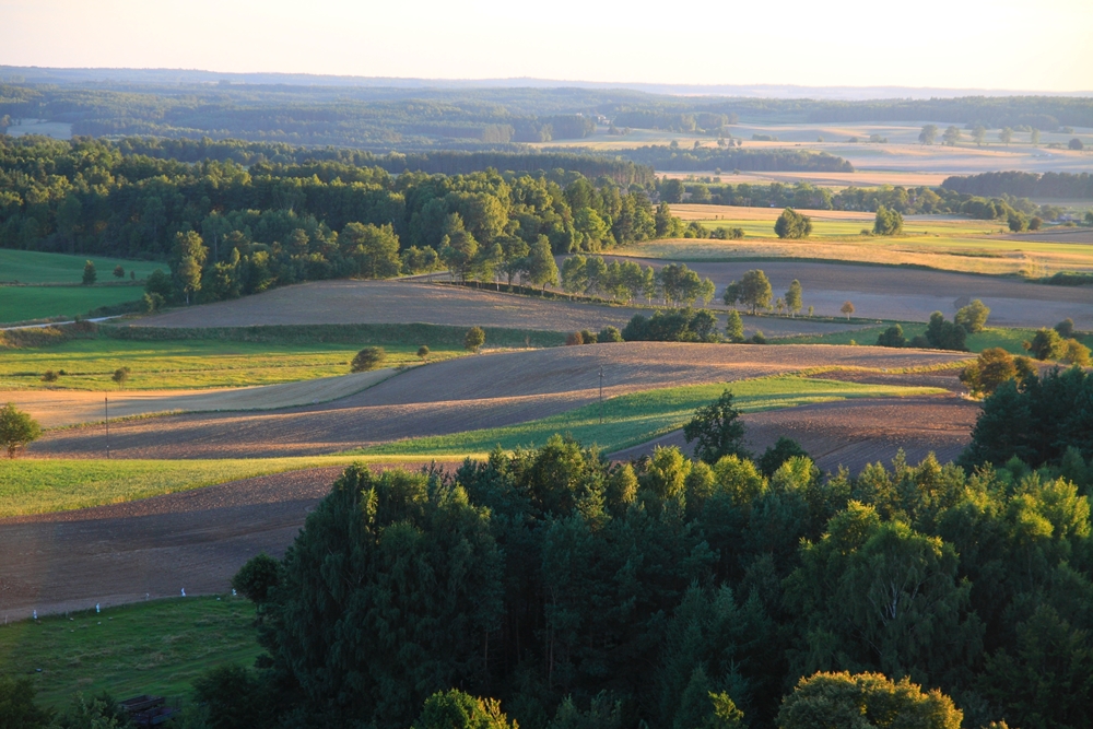 Zróżnicowny krajobraz rolniczy fot. Krzysztof Gajda