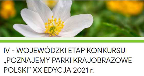 Konkurs PPKP 2021