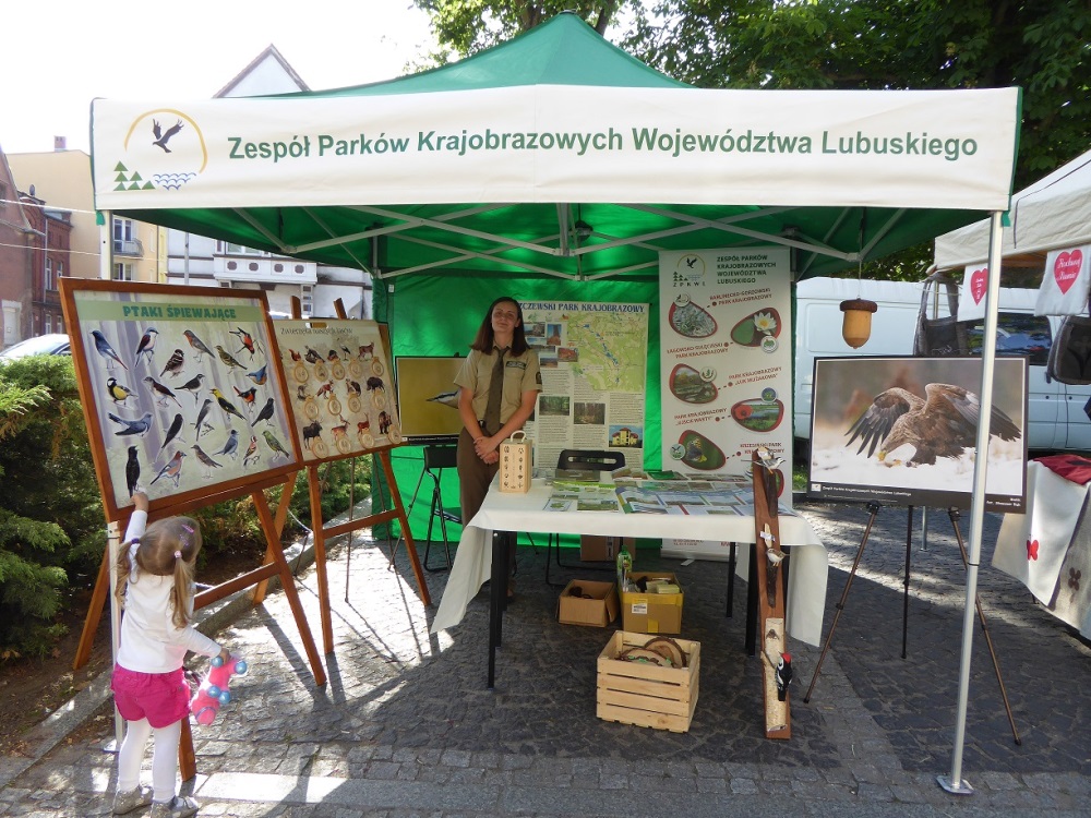 P1070626