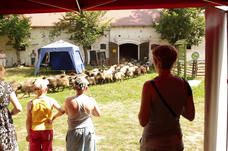 Letnie spotkanie z Łąką