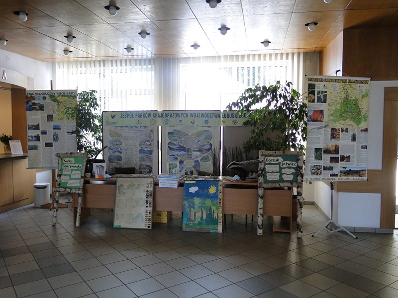 Kalsko2