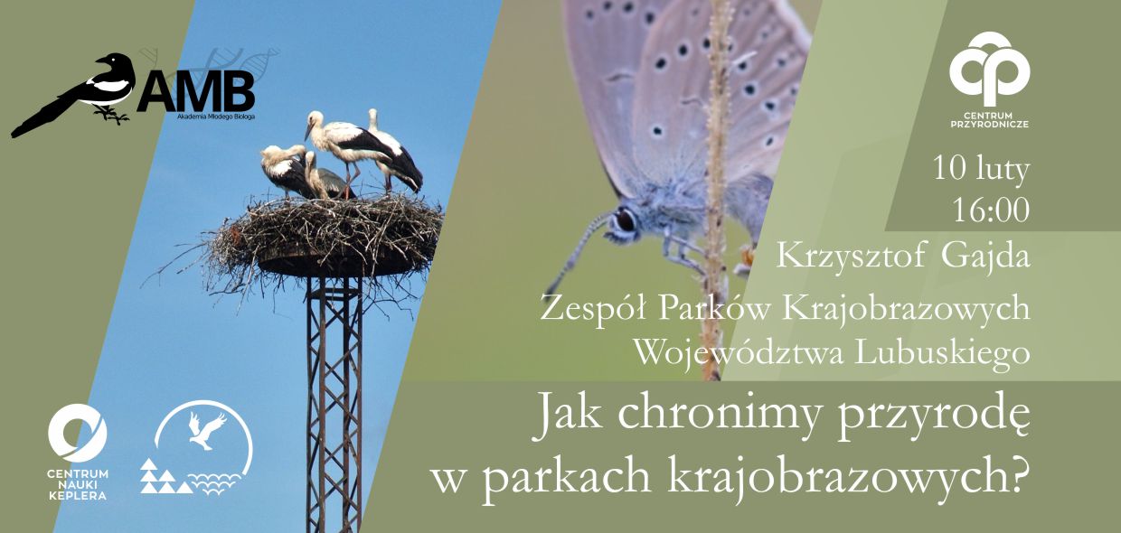 baner amb luty na facebooka