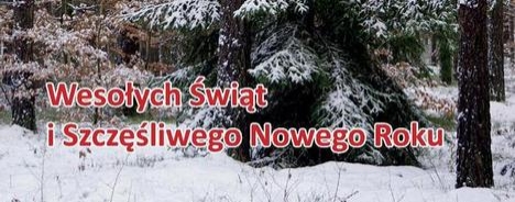 4987_21_Kartka_swiateczna2.jpg
