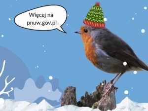 plakat zima 2025