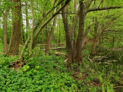 W otoczeniu Góry Wałowej