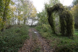 Tereny leśne przy byłej osadzie fot. K. Gajda