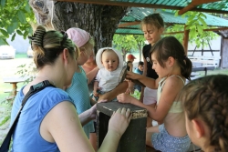 Zbijanie domków dla pszczoł fot. K. Gajda