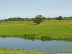 Łąki w PK UJście Warty fot. P. Jankowski