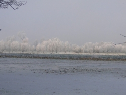 Aleja ułatwiająca orientację w terenie 