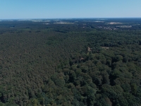 Duże kompleksy leśne w BGPK fot. P. Jankowski
