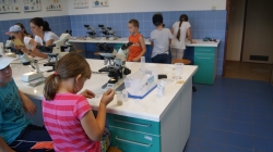 Badanie wody fot. Katarzyna Kopka