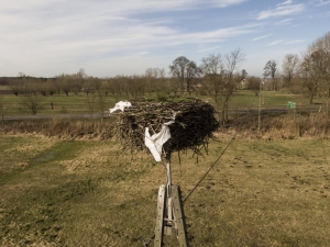 Zanieczyszczone gniazdo 2
