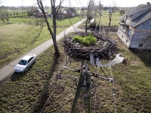 Zanieczyszczone gniazdo 3