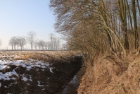 5.Rowy melioracyjne przed wycinką drzew i krzewów fot.K.Dziurewicz