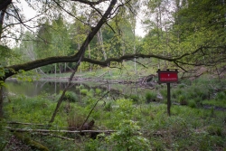 Użytek ekologiczny fot. Katarzyna Kopka