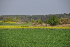 DSC 3786