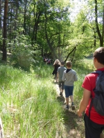 Na ścieżce przyrodniczo edukacyjnej Jeziora Gołyńskie lesie fot. archiwum PPK