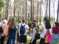 Rola martwego drewna w lesie zajęcia w terenie fot. archiwum PPK