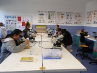 Świat pod mikroskopem sala laboratoryjna w OEP w Pszczewie fot. archiwum PPK