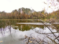 Wypłycenia na terenie użytku ekologicznego Oczko fot. Katarzyna Szczepaniak