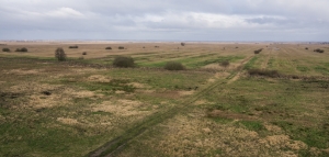 2.Widok na pradolinę zdjęcie wykonanie z wieży widokowej na Czarnowskiej Górce fot. Natalia Borkowska Wójcik