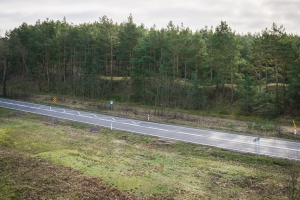 3.Porośnięta drzewami wydma śródlądowa fot. Natalia Borkowska Wójcik