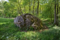 Głaz narzutowy Diabelski Kamień fot. Krzysztof Gajda