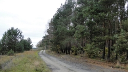 Miejsce lokalizacji budek