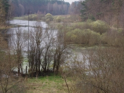 Efekt działalności bobra