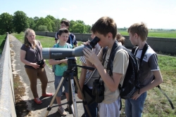 Obserwowanie ptaków przez lunetę