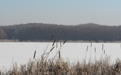 fot. J. Stawiarski 3