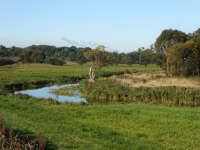 Jesień w Parku Krajobrazowym Ujście Warty fot. A. Szmatowicz 1
