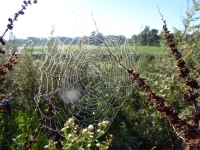 Jesień w Parku Krajobrazowym Ujście Warty fot. A. Szmatowicz 2