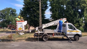 obrączkowanie bocianów 2018 fot. A. Szmatowicz