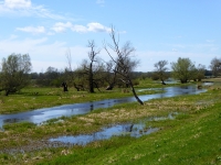Fragment Starej Warty na Warnikach fot A. Szmatowicz