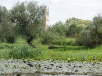 Kościół w Słońsku na tle rozlewiska Warty fot P. Cieniuch