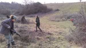 wycinanie i gromadzenie wyciętych zakrzaczeń, fot. P. Cieniuch