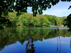 Jezioro Zieleniawe w rezerwacie fot. A.Szmatowicz