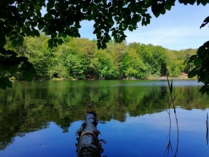 Rezerwat Wilanów fot. A. Szmatowicz