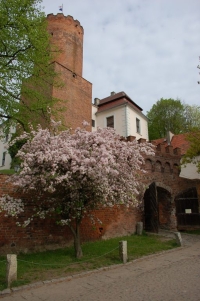 Fot.6 Zamek Joannitów. R.Orzechowski
