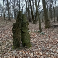 Fot 4. Cmentarz na Sokolej Górze Fot M. Ożóg