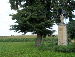 Kapliczka św. Wojciecha w Pszczewie