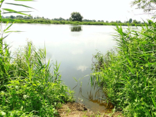 Warta, okolice Świerkocina