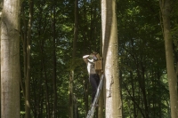 Dokarmianie popielic