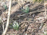 Przedwiośnie w PK"UW"