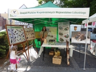 P1070626