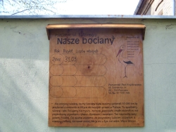 Tablica w przedszkolu
