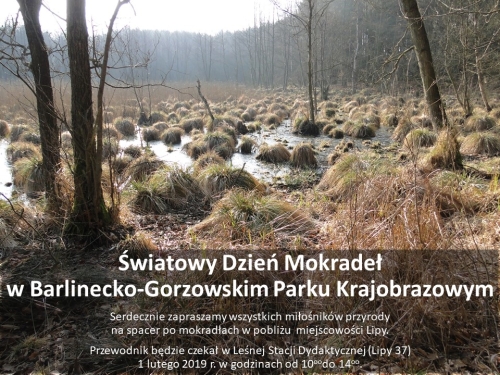 Światowy Dzień Mokradeł w Barlinecko Gorzowskim Parku Krajobrazowym