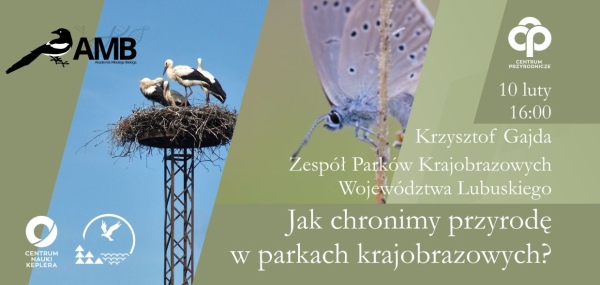 baner amb luty na facebooka